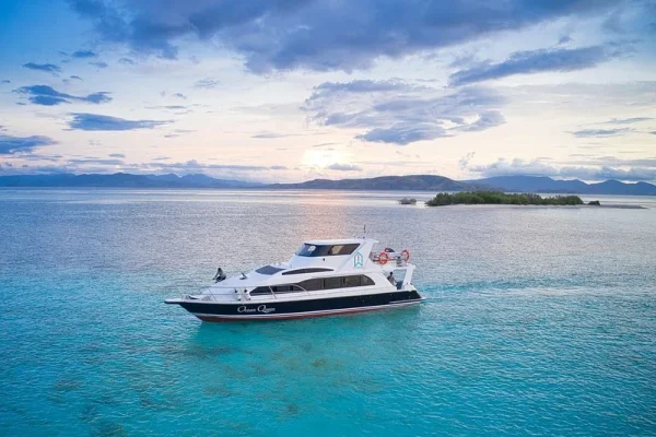 Komodo Tour